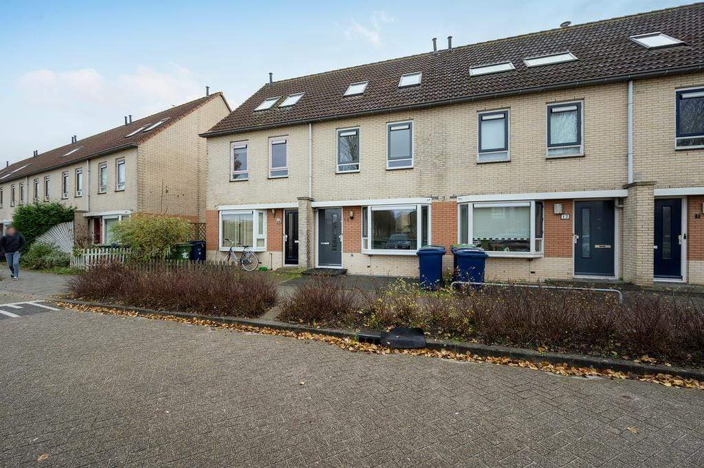 Afbeelding 1 van 1