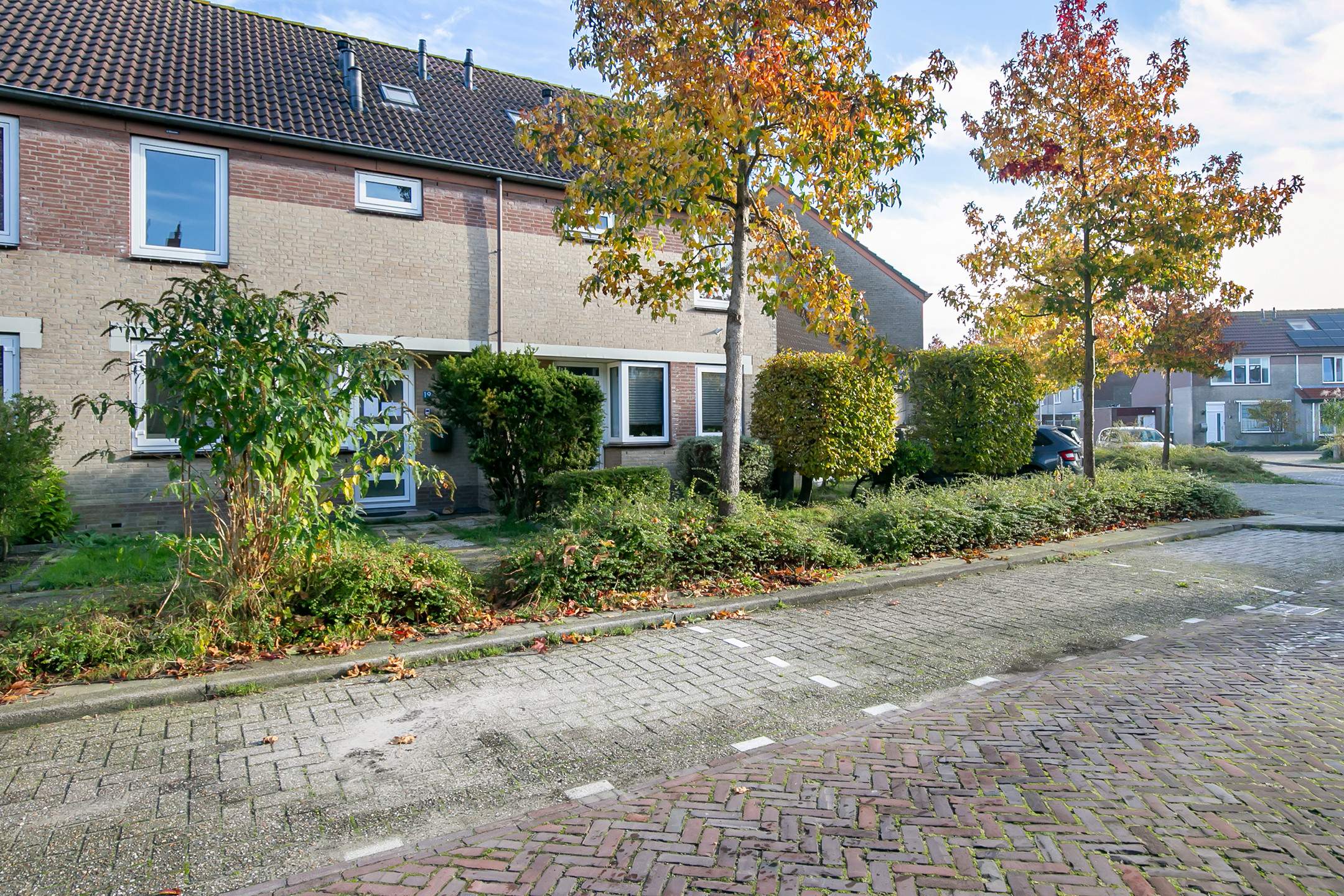 Afbeelding 2 van 34