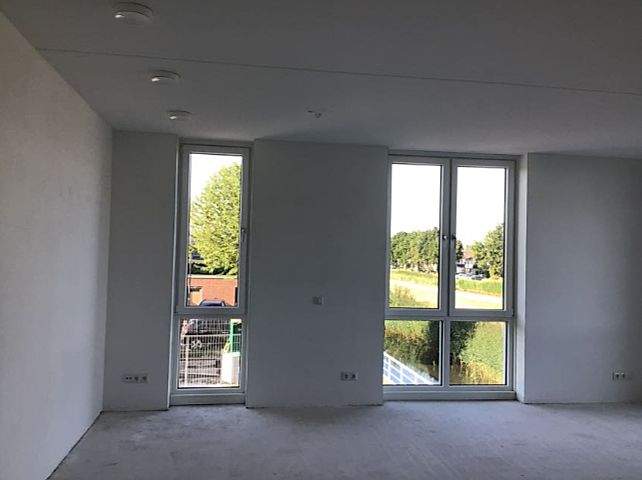 Image 3 of 8