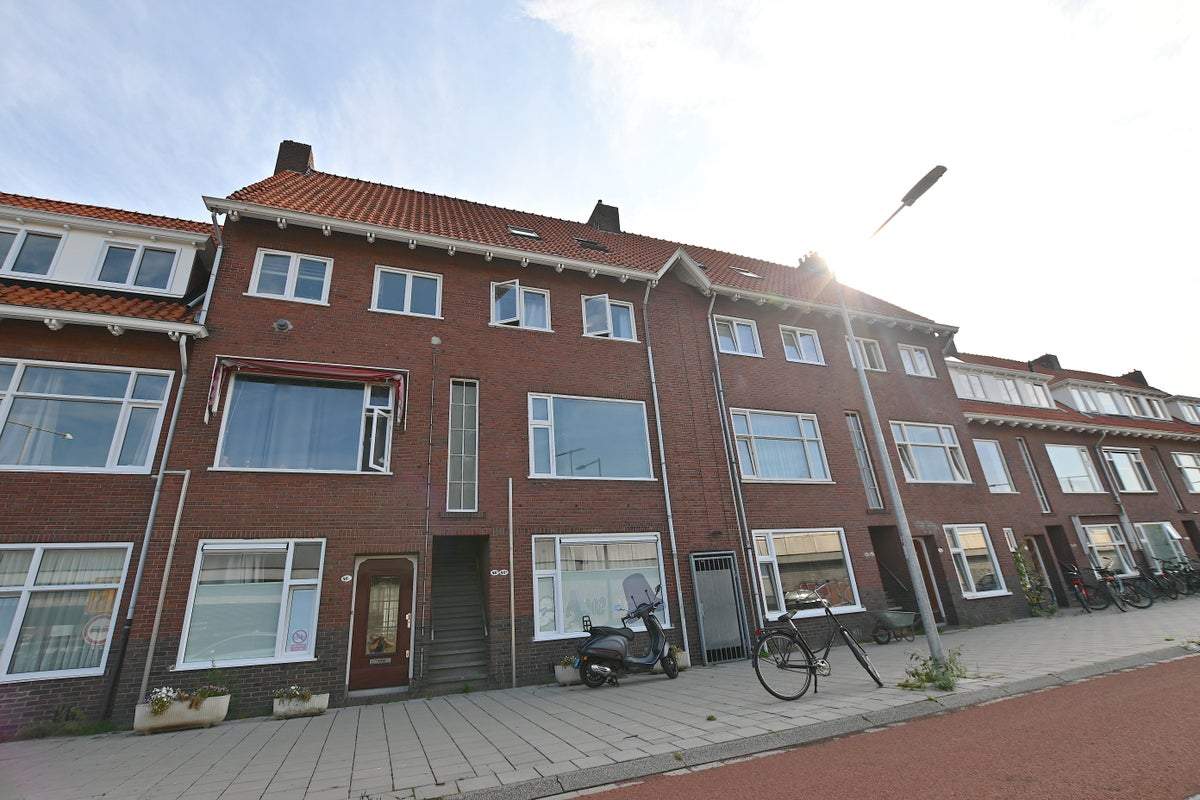 Afbeelding 1 van 9