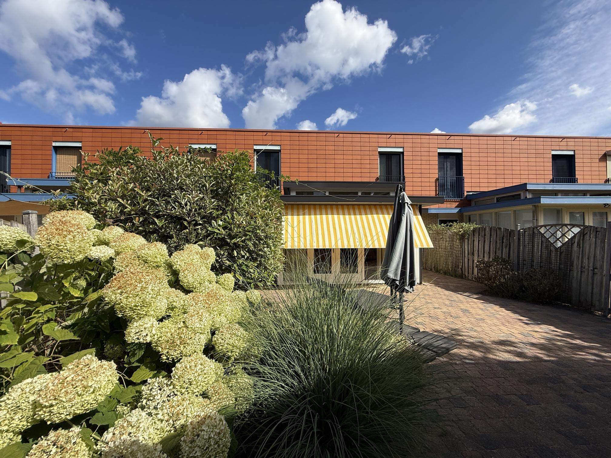 Image 24 of 26
