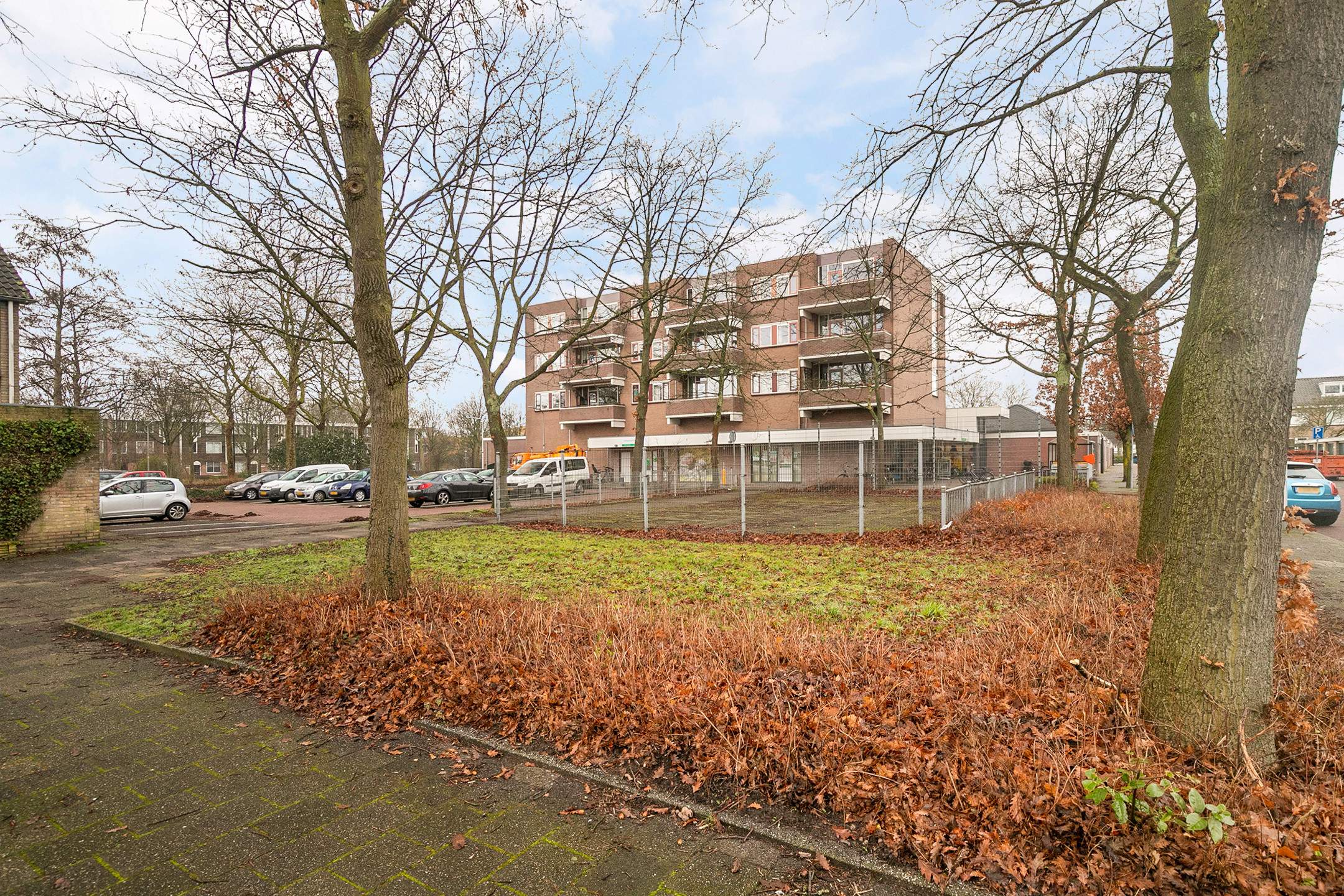 Afbeelding 2 van 2