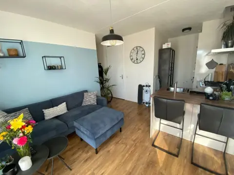 Apartment Molenstraat, Tilburg - For Rent
