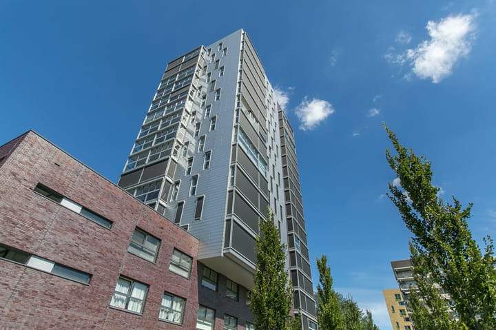 Image 1 of 12