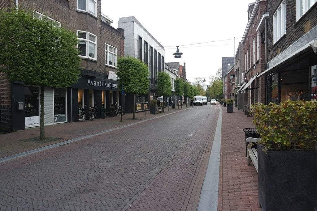 Afbeelding 3 van 22