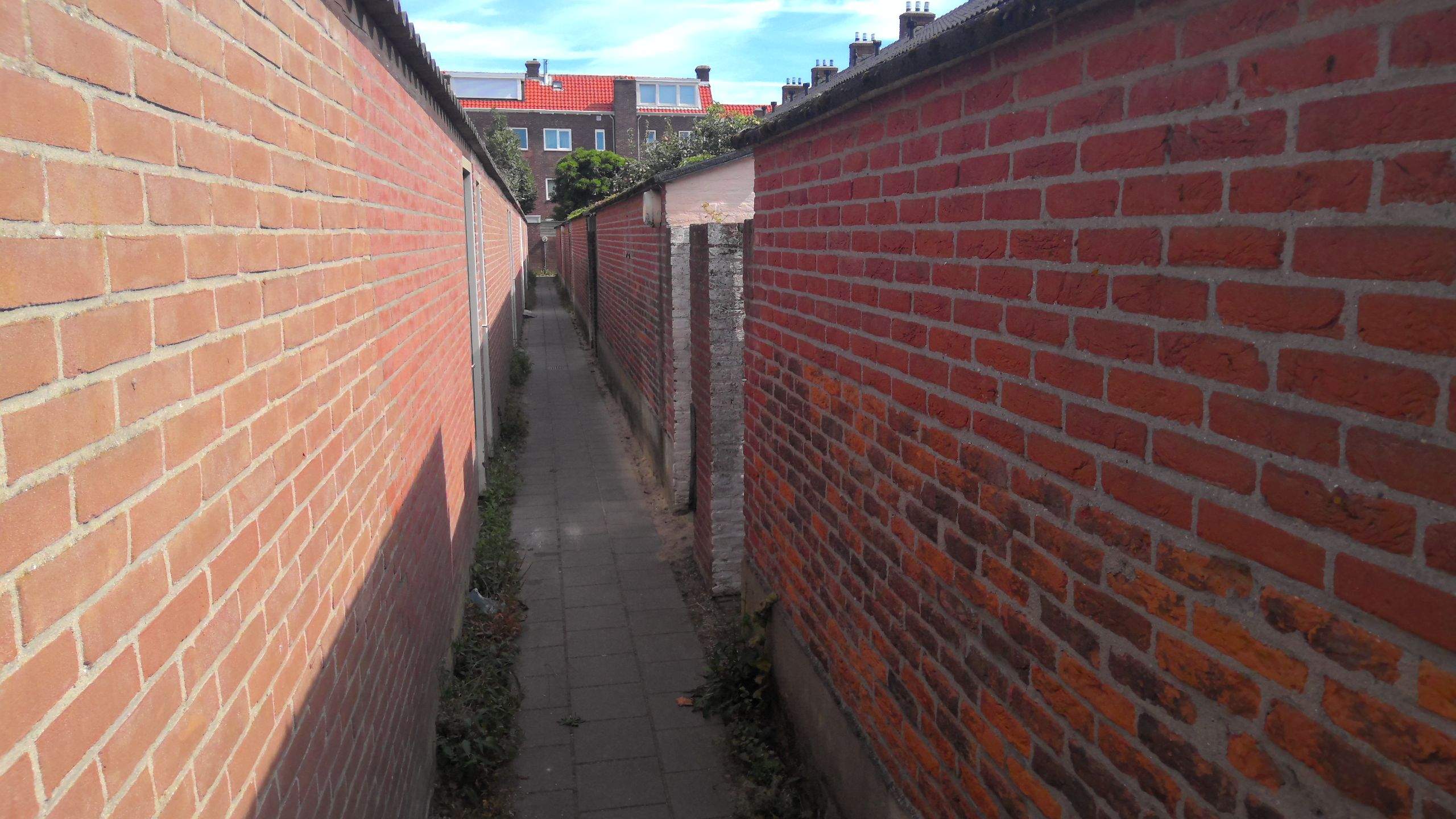 Image 3 sur 5