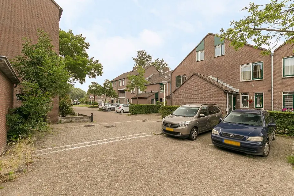 Afbeelding 1 van 14