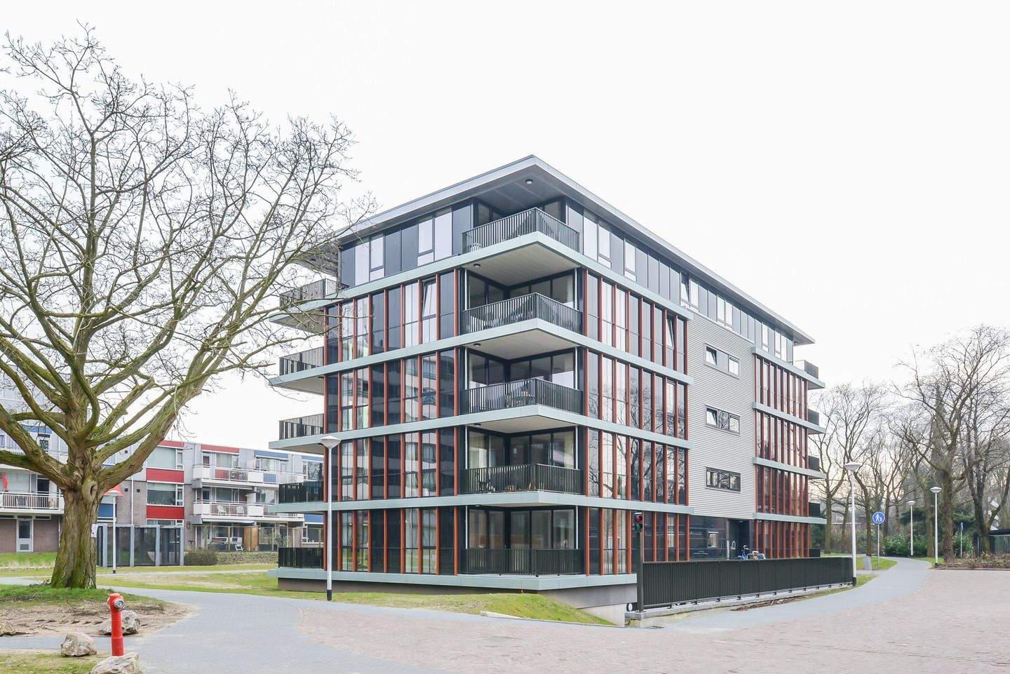Afbeelding 1 van 12