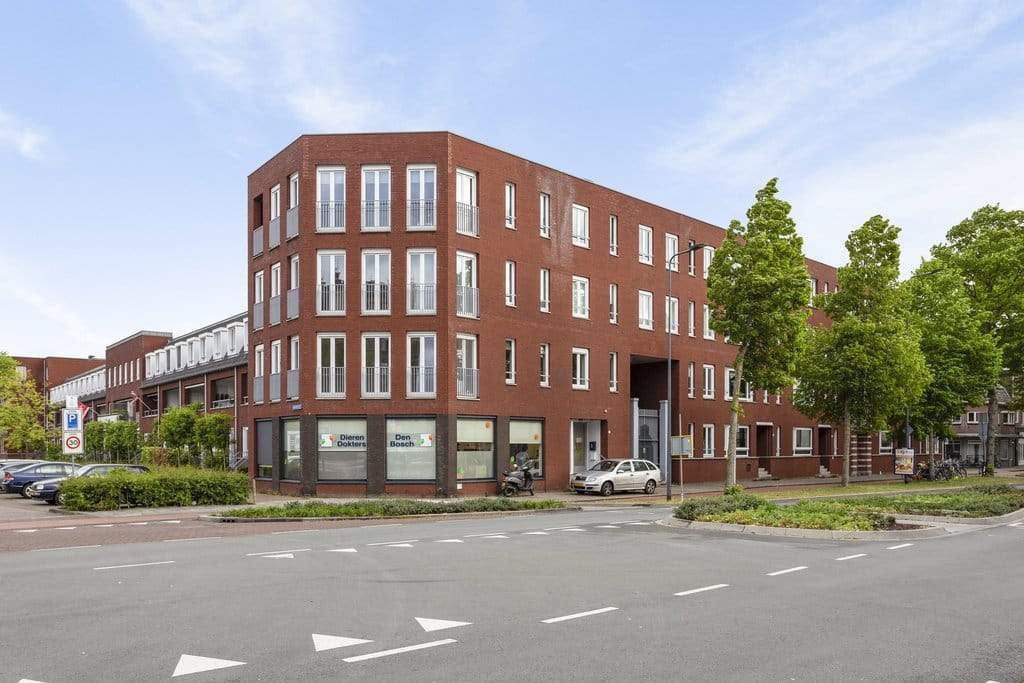 Afbeelding 1 van 12