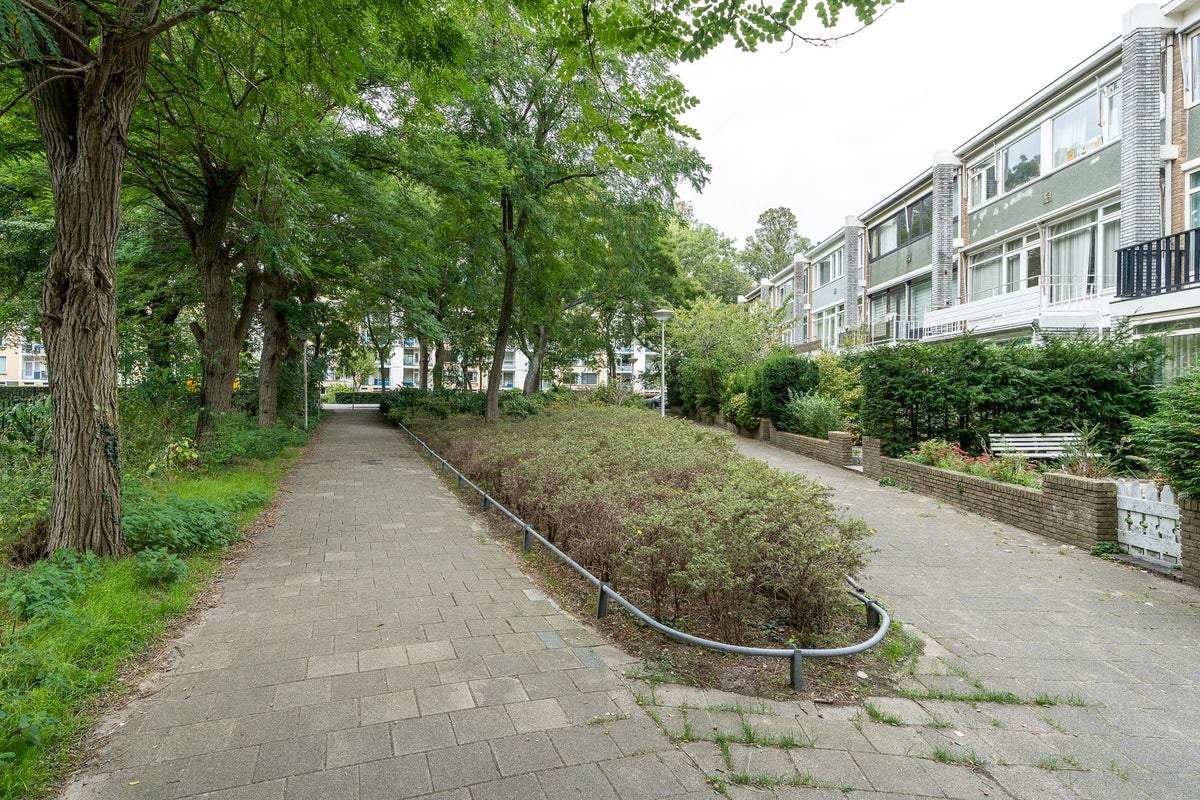 Afbeelding 2 van 100