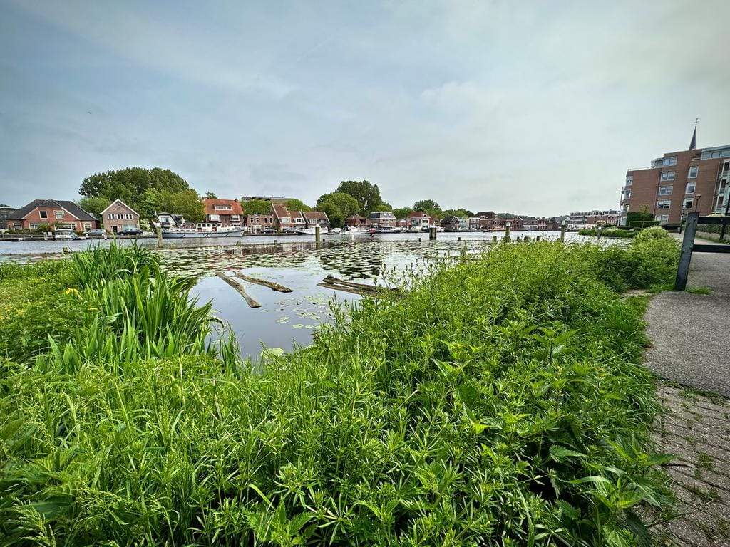 Afbeelding 46 van 56