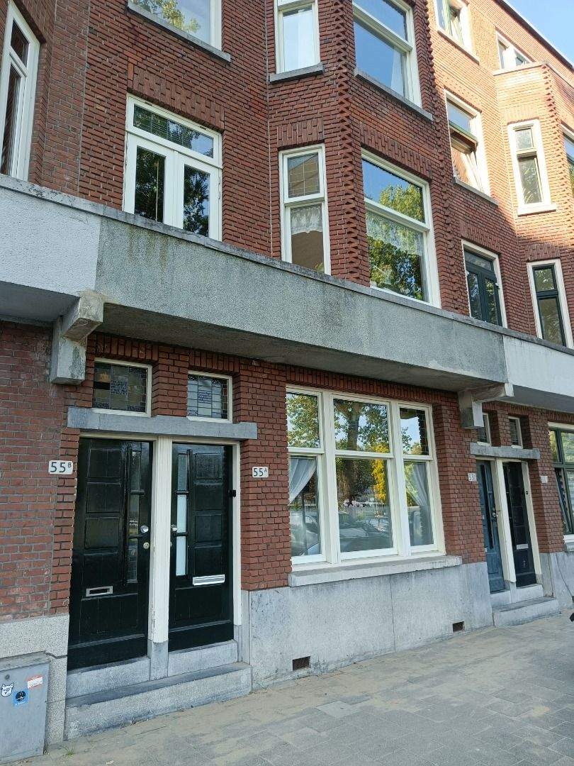 Afbeelding 1 van 11