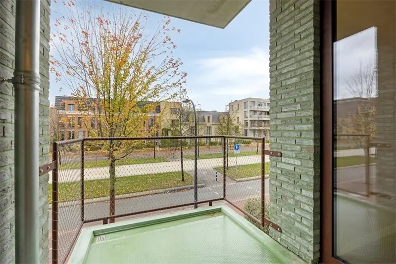 Image 11 of 15