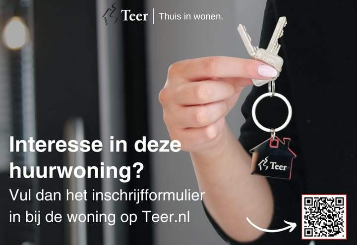 Afbeelding 3 van 16
