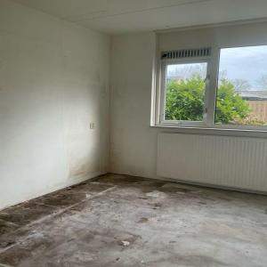 Bild 11 von 11