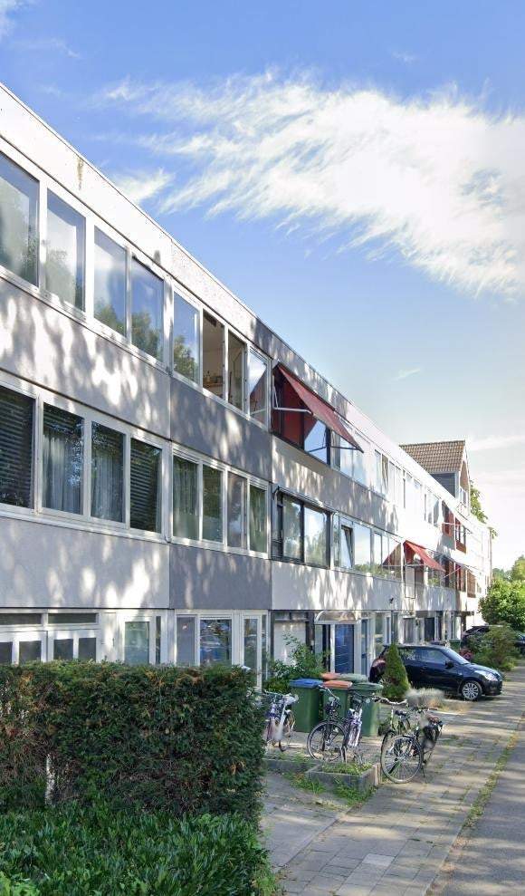 Afbeelding 1 van 3