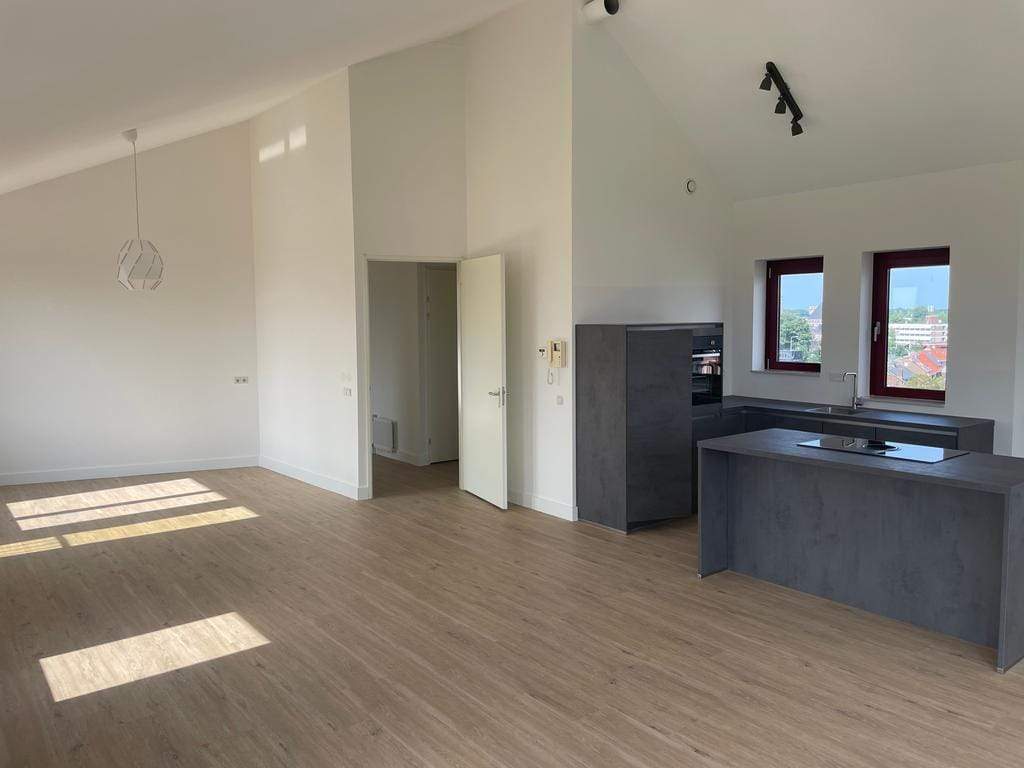 Image 2 of 12