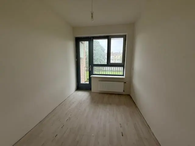 Afbeelding 10 van 14