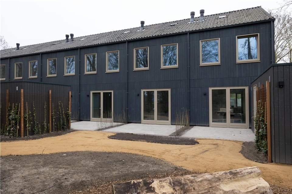 Image 2 of 13