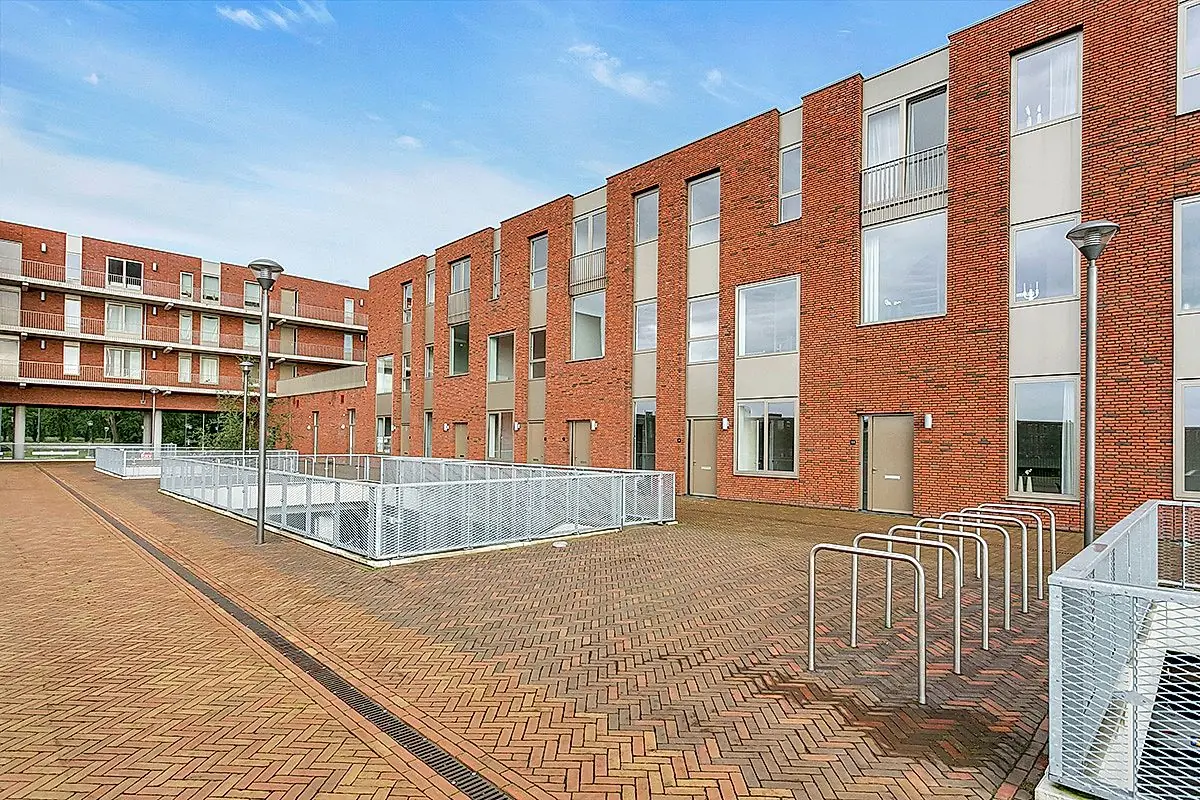 Afbeelding 1 van 8