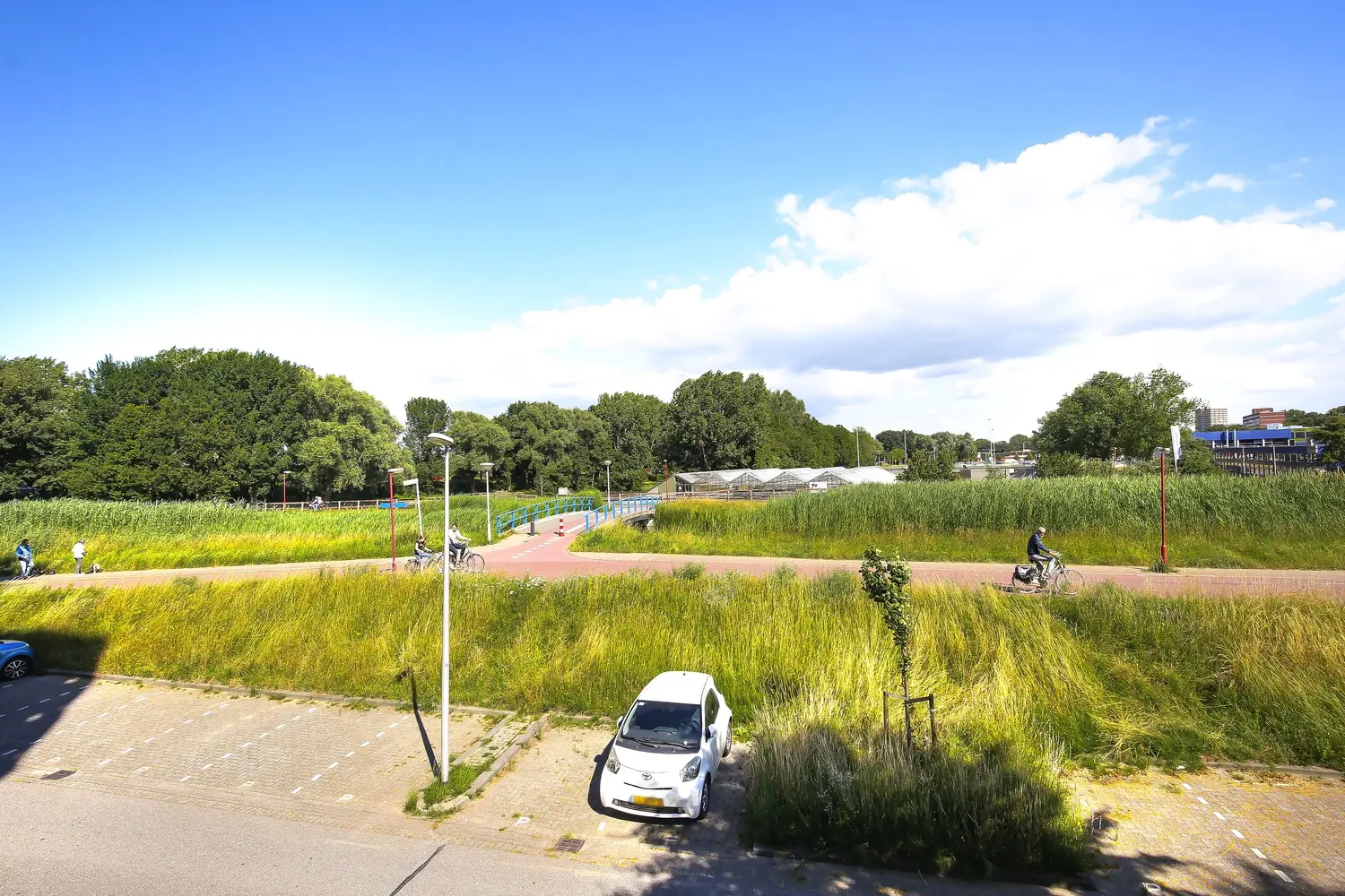 Afbeelding 3 van 11