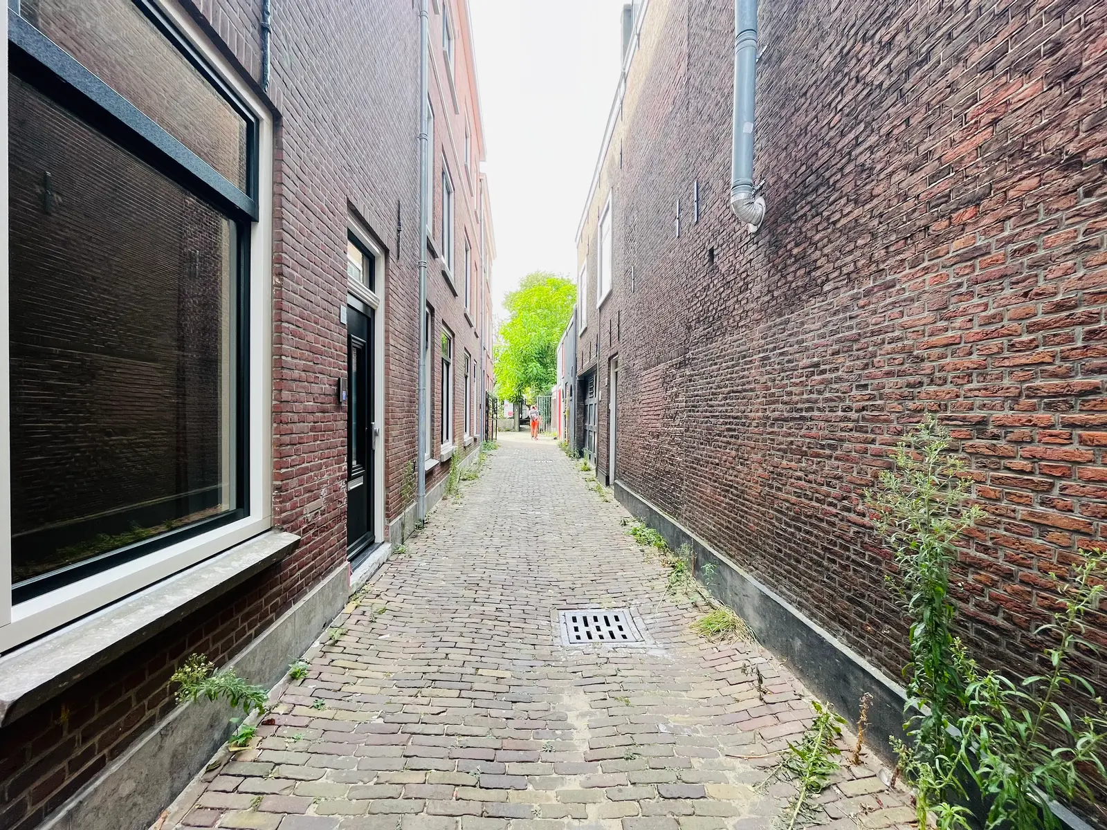 Image 11 of 13