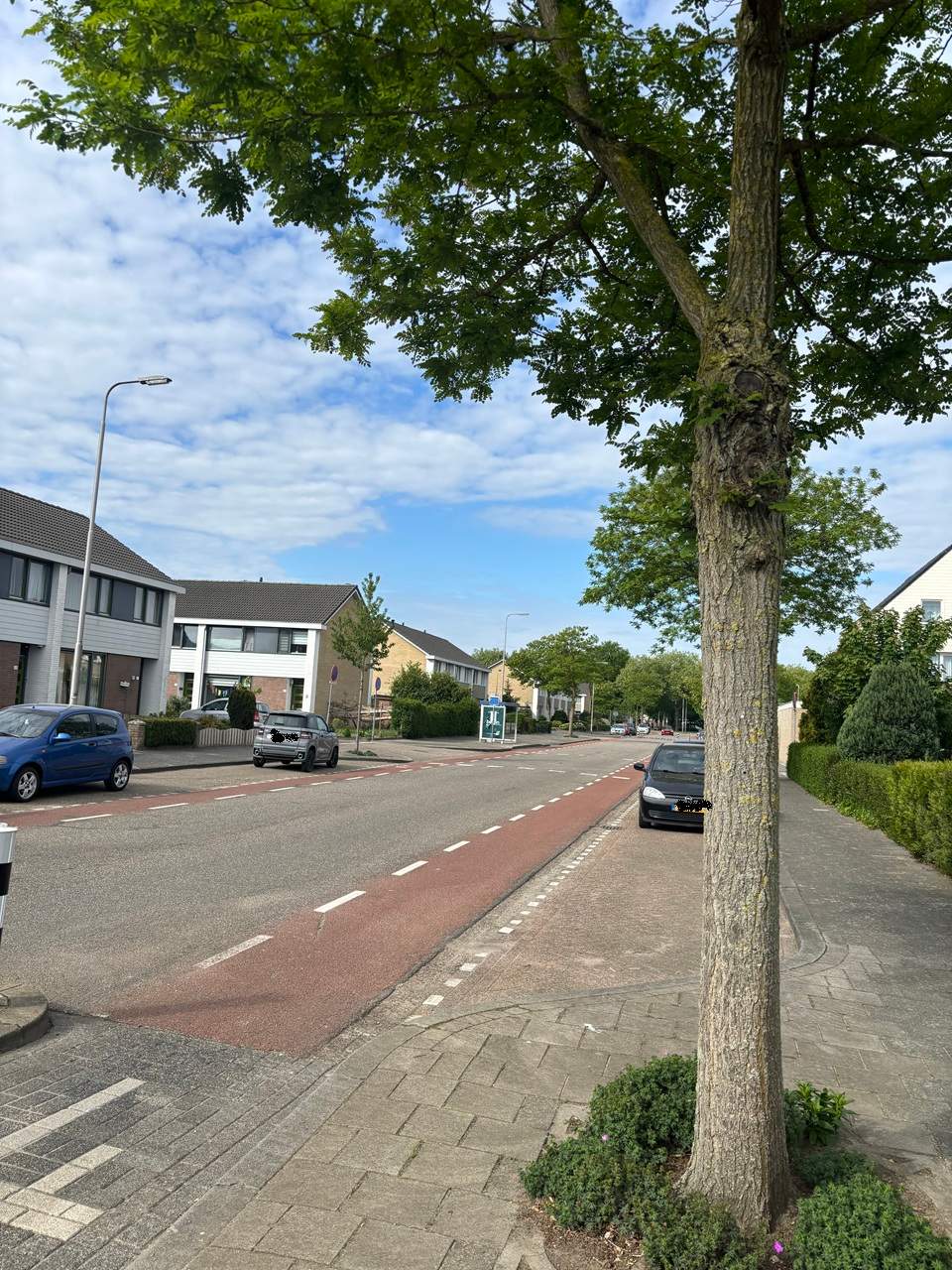 Afbeelding 2 van 2