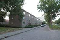 Afbeelding 2 van 11