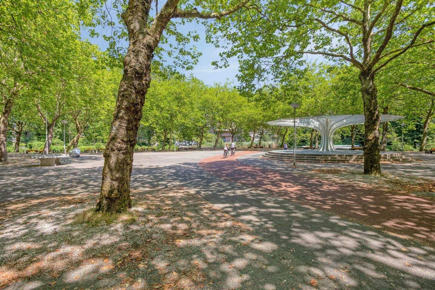 Image 19 of 19