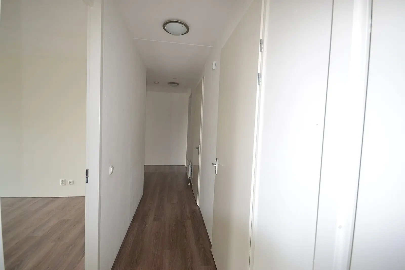 Image 6 of 8