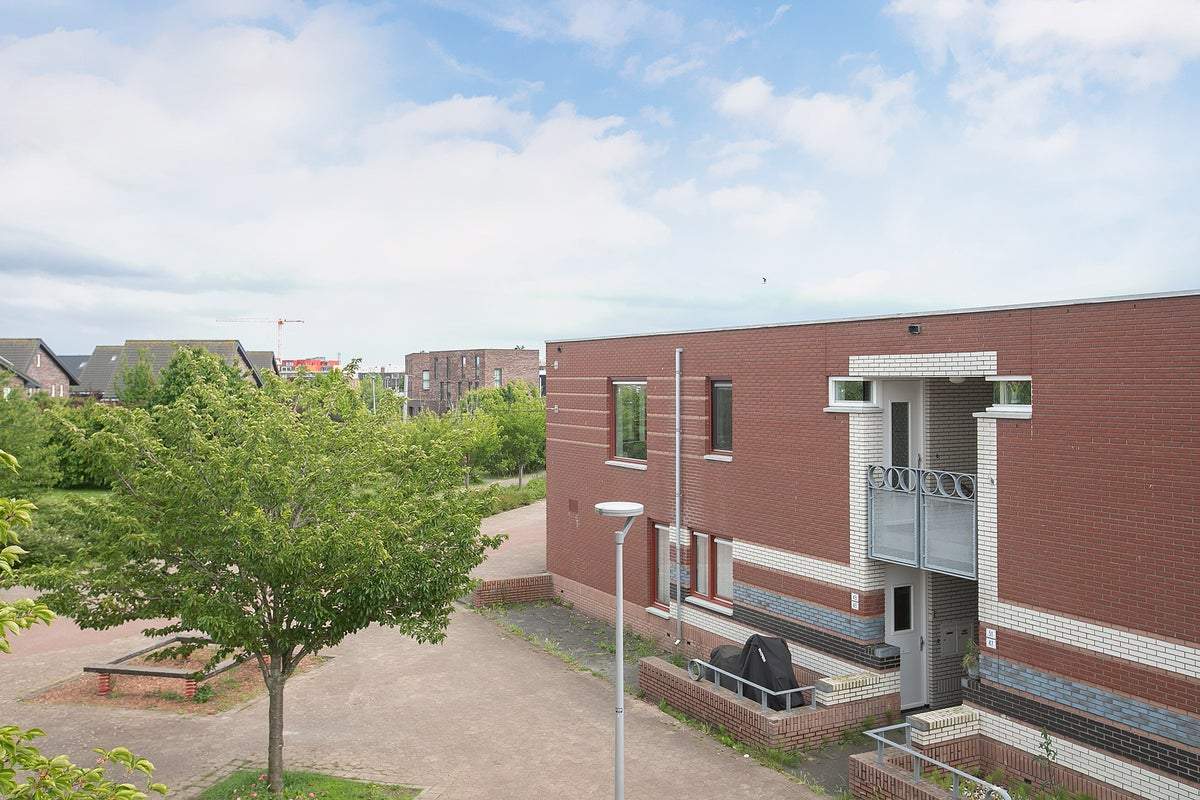 Afbeelding 1 van 32