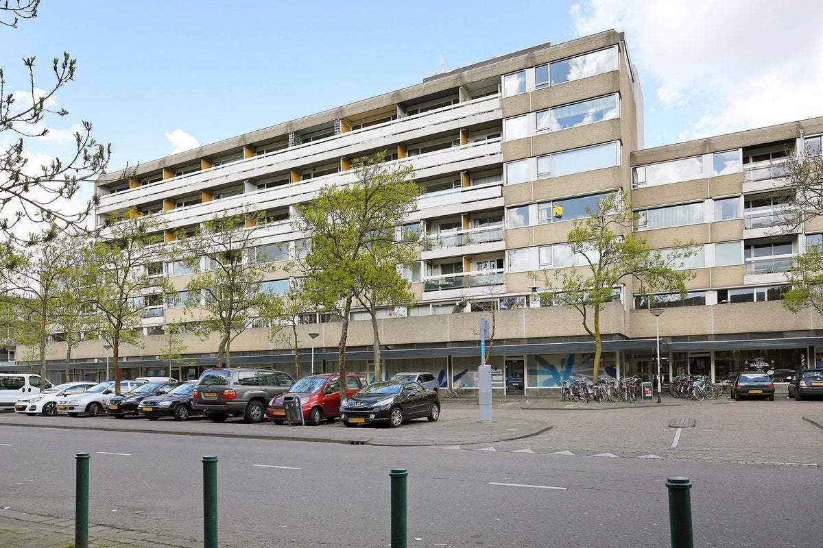 Afbeelding 1 van 6