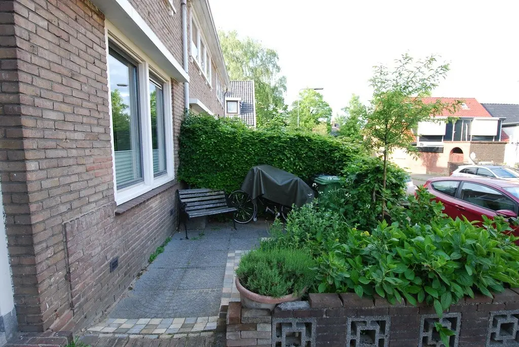 Image 4 of 21