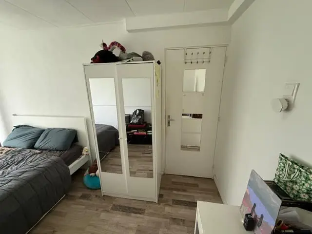 Afbeelding 7 van 10