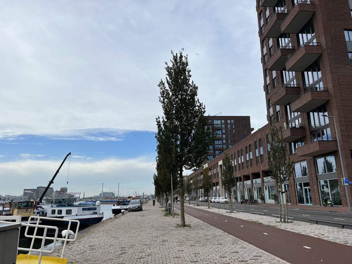 Afbeelding 1 van 25