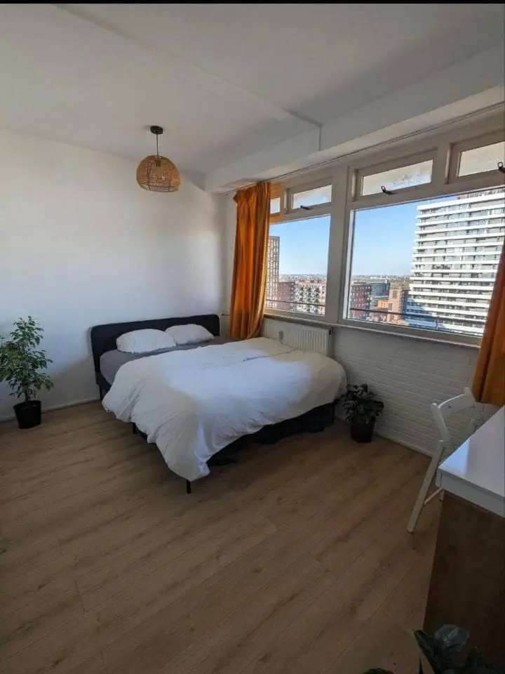 Furnished Room Hendrik Tollensstraat, Delft - For Rent