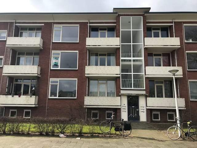 Afbeelding 1 van 6