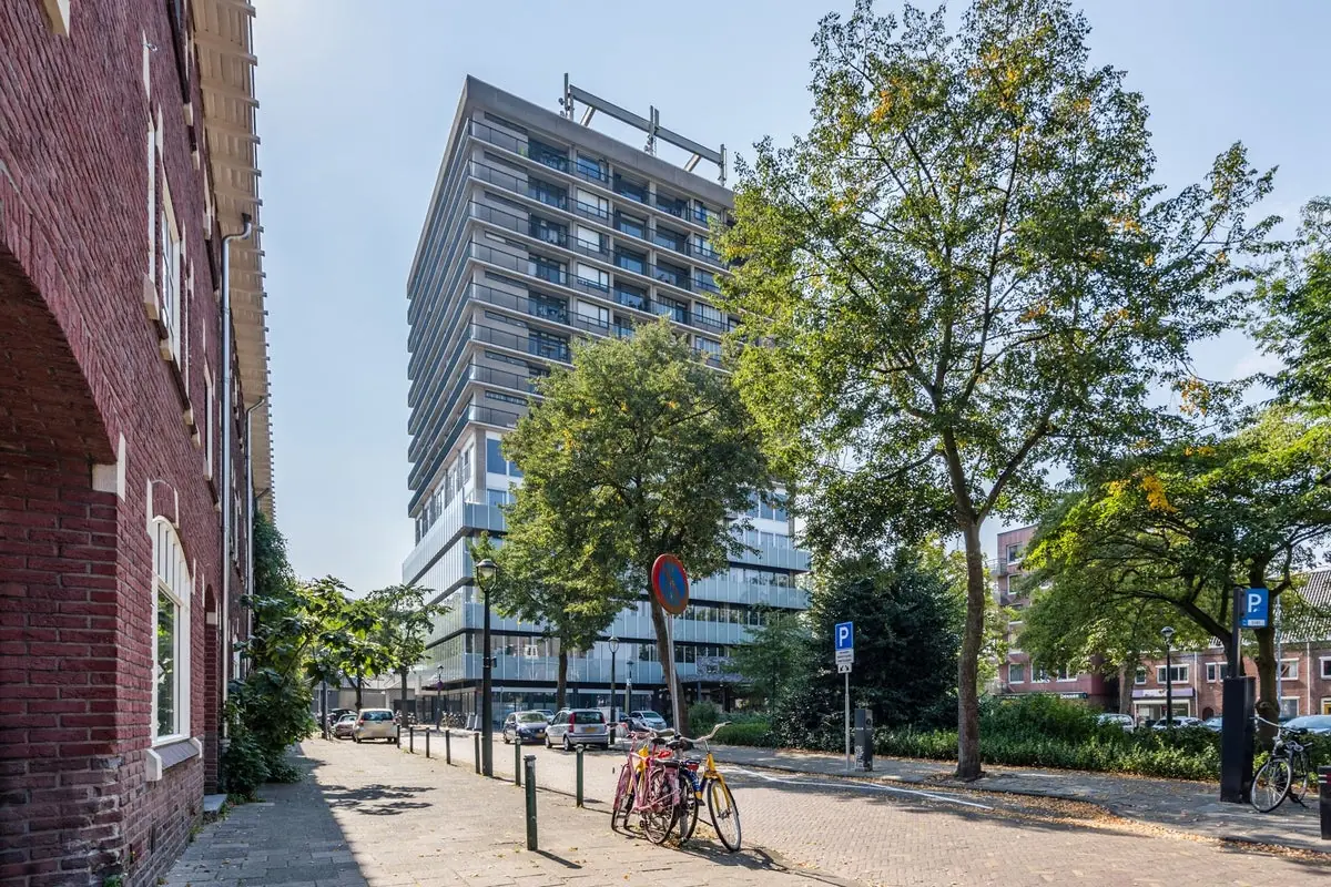 Afbeelding 1 van 10