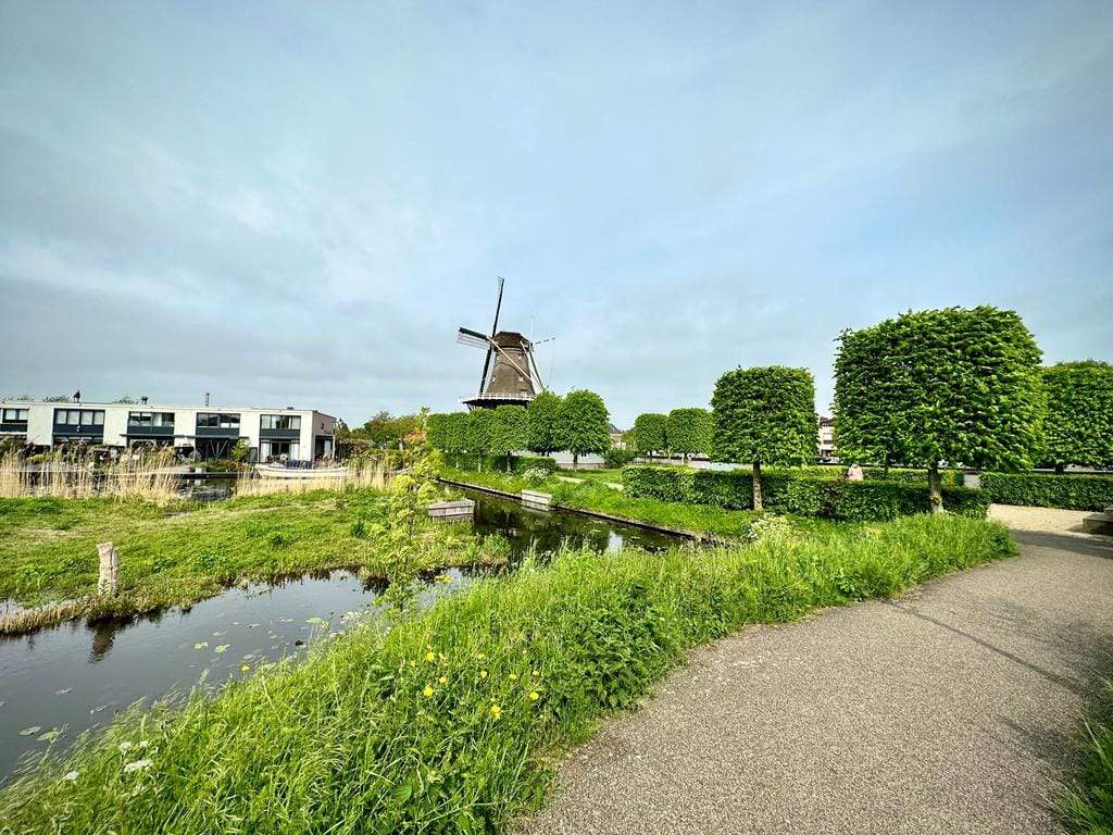 Afbeelding 44 van 56