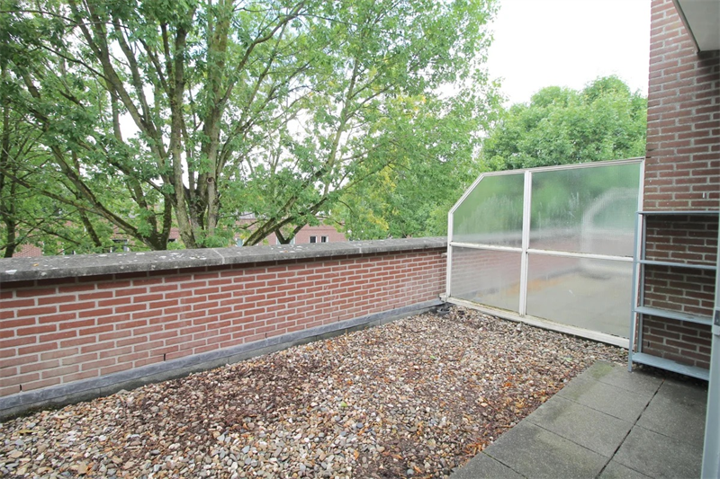 Image 19 of 27