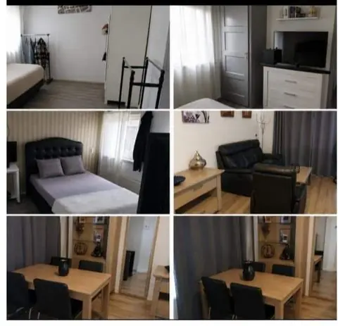 Chambre meublée Lijsterbeslaan, Hillegom - À louer
