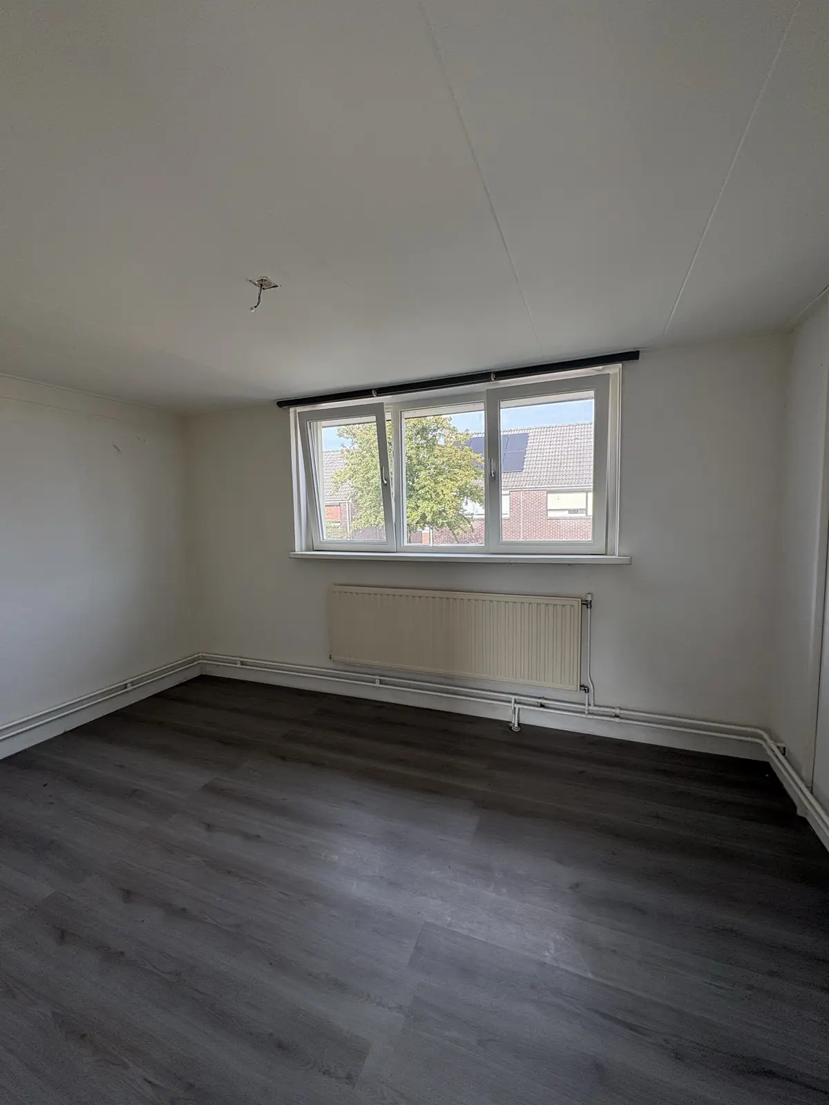 Image 6 of 12