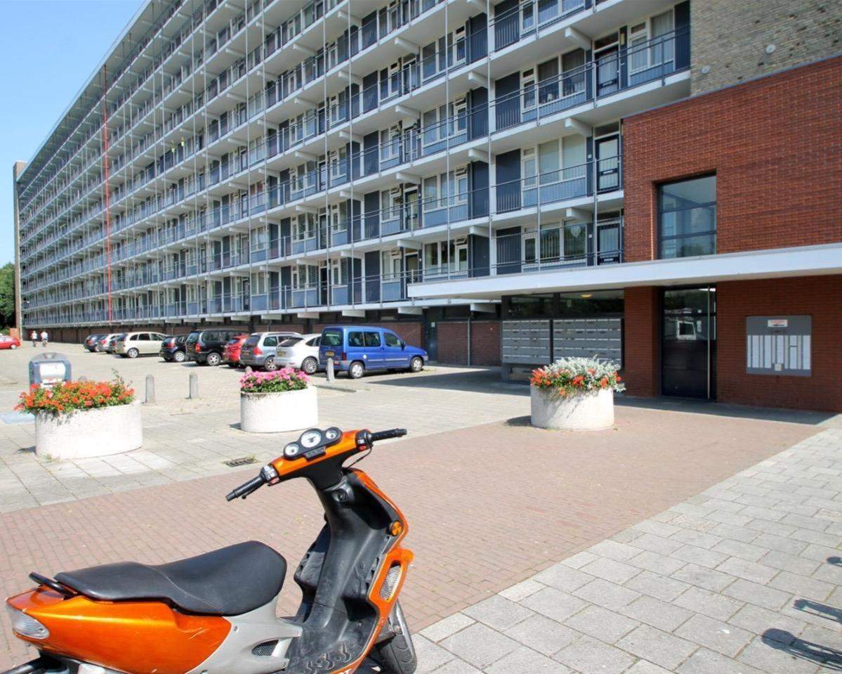 Afbeelding 1 van 10