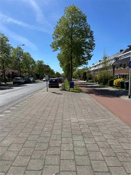 Afbeelding 3 van 3