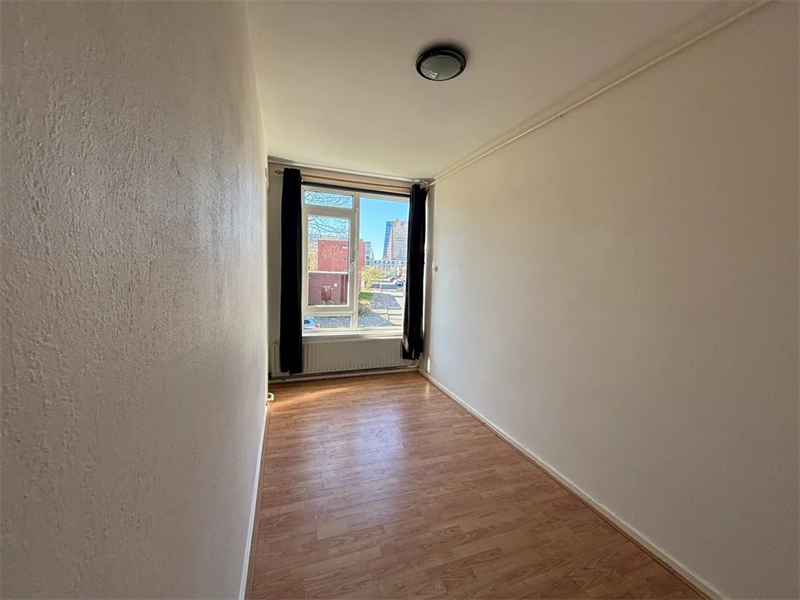 Image 6 of 12