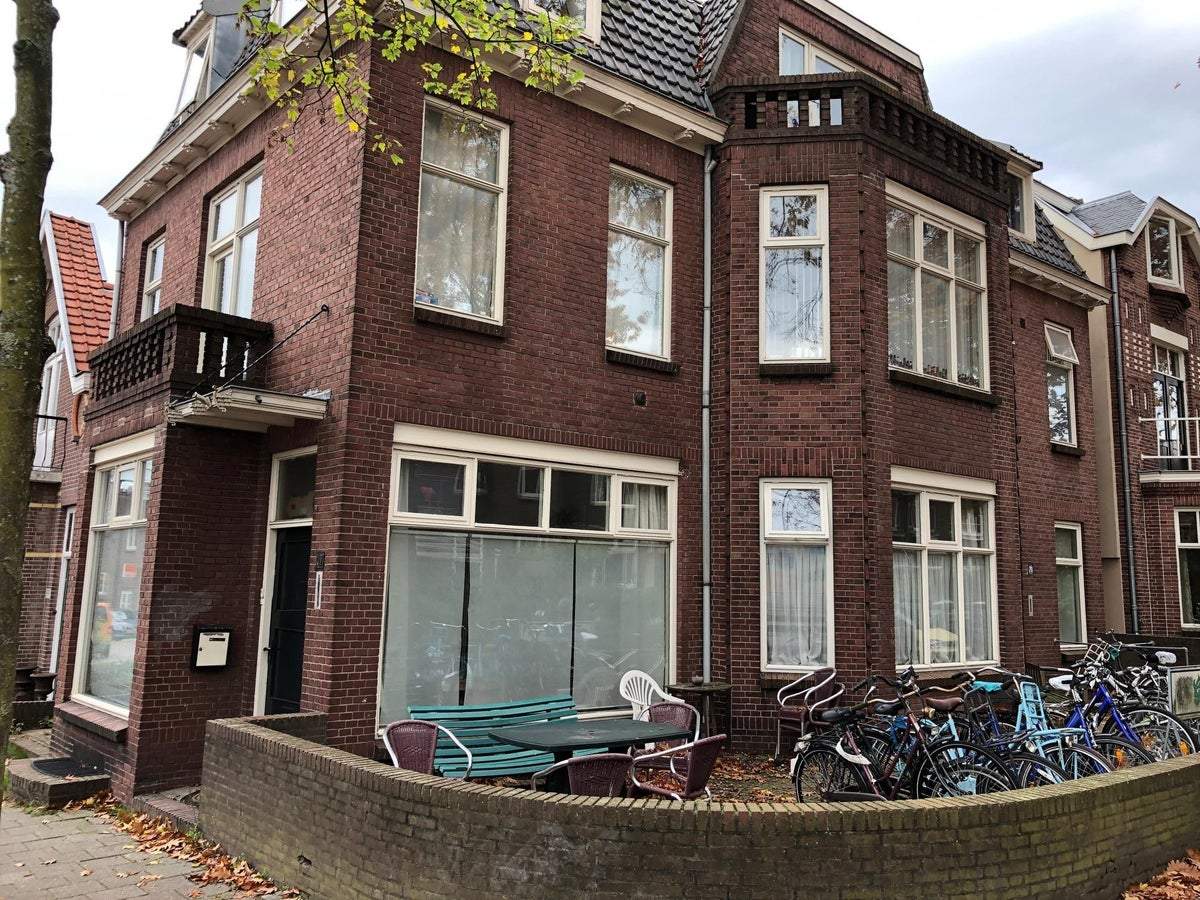 Afbeelding 1 van 11