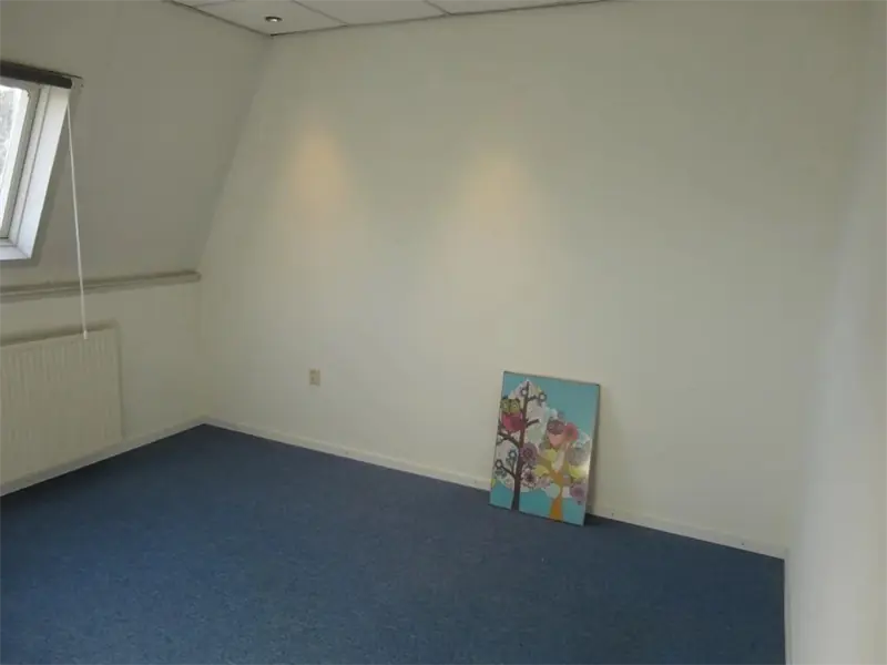 Image 8 of 14