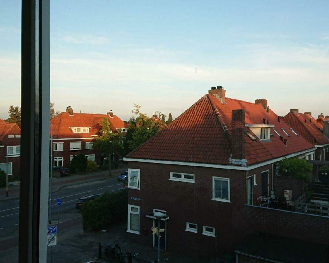 Image 2 of 7