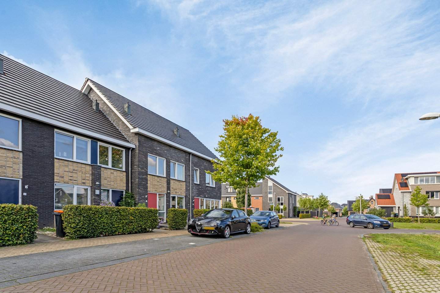 Afbeelding 1 van 12