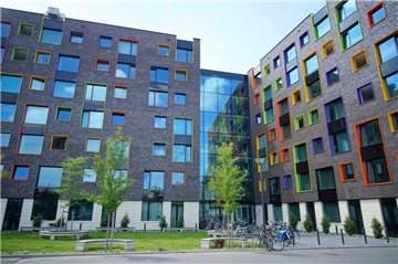 Imagen 9 de 9